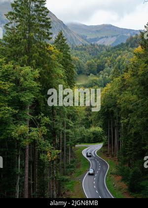 Draufsicht auf ein sich bewegendes Auto mit Bewegungsunschärfe-Effekt. Transport auf einer Forststraße im Sommer. Stockfoto
