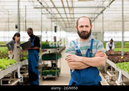 Porträt eines selbstbewussten Mannes, der im Gewächshaus arbeitet, während Landwirtschaftsingenieure mit einem Laptop die Wachstumsraten bestimmen. Kaukasischer Mann, der in einer hydroponischen Mikrogrünplantage steht. Stockfoto