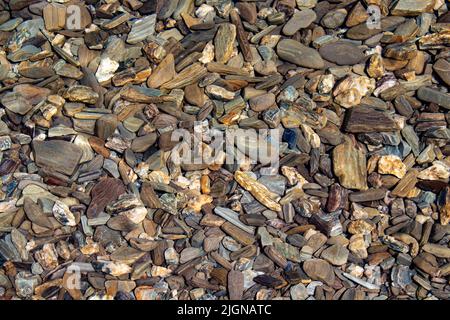 Draufsicht auf kleine gemusterte Kieselsteine unter Wasser Stockfoto