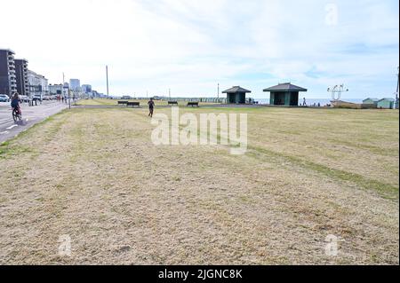 Hove , Brighton Großbritannien 12. July 2022 - das Gras ist auf Hove Rasen ausgetrocknet , Brighton als das heiße sonnige Wetter in ganz Großbritannien mit einem Mangel an regen in den letzten Wochen weiter : Credit Simon Dack / Alamy Live News Stockfoto