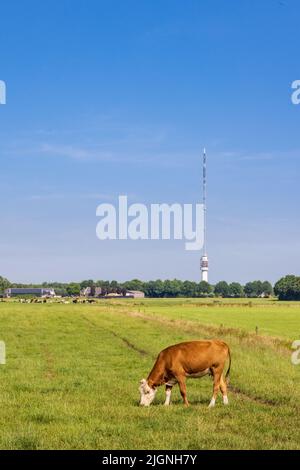 Landschaft mit Sendeturm Smilde Niederlande Stockfoto