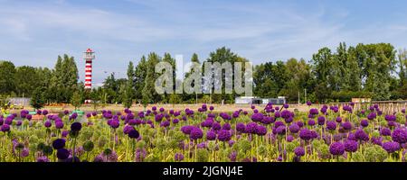 Almere, Niederlande - 15. Juni: Farbenfroher Leuchtturm, schwimmende Bäume und Allium-Blumen auf der Floriade Expo 2022 wachsende grüne Städte in Almere Amsterdam, Niederlande Stockfoto