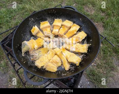 Braten Hecht in einer Pfanne auf Feuer. Kleine knusprige Fischstücke werden in Öl gebraten. Das Konzept des Kochens von Lebensmitteln in der Natur. Geringe Schärfentiefe Stockfoto