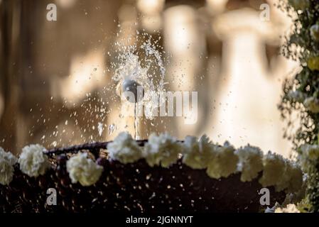 Barcelona Kathedrale Kloster mit dem Brunnen und dem 'Ou com balla' (das Ei beim Tanzen), eine katalanische Tradition des Corpus Day (Barcelona, Spanien) Stockfoto