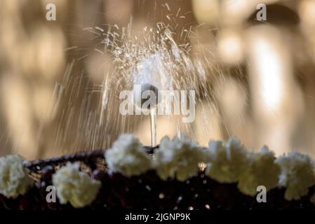 Barcelona Kathedrale Kloster mit dem Brunnen und dem 'Ou com balla' (das Ei beim Tanzen), eine katalanische Tradition des Corpus Day (Barcelona, Spanien) Stockfoto