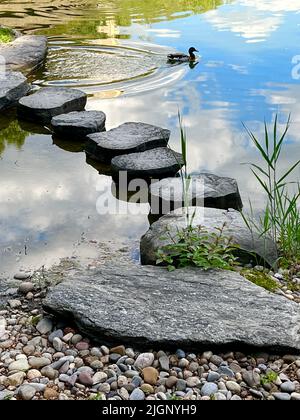 Trittsteine im Teich des Japanischen Gartens im Brooklyn Botanic Garden in Brooklyn, New York. Der Japanische Berg-und-Teich-Garten ist einer der ältesten und meistbesuchten japanisch inspirierten Gärten außerhalb Japans. Stockfoto