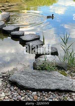 Trittsteine im Teich des Japanischen Gartens im Brooklyn Botanic Garden in Brooklyn, New York. Stockfoto