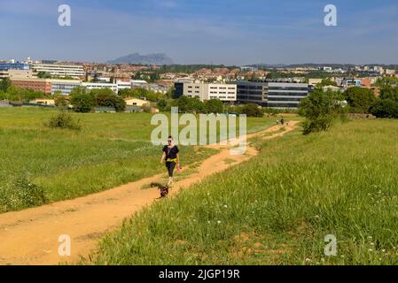 Eng: Frühlingsfelder und ein Wanderer in der Nähe von Sant Cugat del Vallès, im Naturpark Collserola (Barcelona, Katalonien, Spanien) ESP: Campos primaverales y un Stockfoto