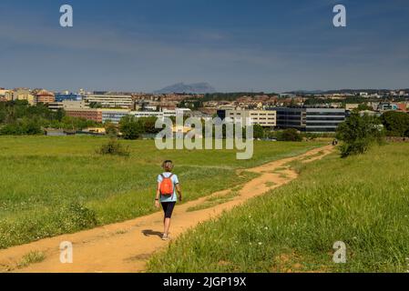 Frühlingsfelder und ein Wanderer in der Nähe von Sant Cugat del Vallès, im Naturpark Collserola (Barcelona, Katalonien, Spanien) Stockfoto