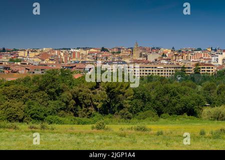 Frühlingsfelder und ein Wanderer in der Nähe von Sant Cugat del Vallès, im Naturpark Collserola (Barcelona, Katalonien, Spanien) Stockfoto