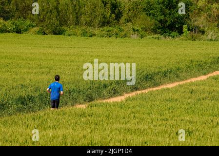 Frühlingsfelder und ein Läufer in der Nähe von Sant Cugat del Vallès, im Naturpark Collserola (Barcelona, Katalonien, Spanien) Stockfoto