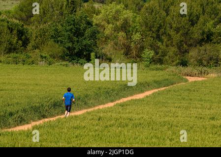 Frühlingsfelder und ein Läufer in der Nähe von Sant Cugat del Vallès, im Naturpark Collserola (Barcelona, Katalonien, Spanien) Stockfoto