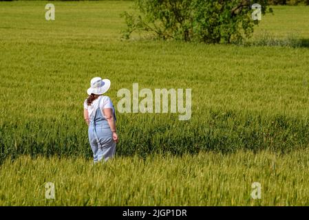 Frühlingsfelder und ein Tourist in der Nähe von Sant Cugat del Vallès, im Naturpark Collserola (Barcelona, Katalonien, Spanien) ESP: Campos primaverales yerdes Stockfoto