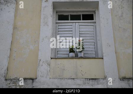 Altes verwittertes Hausfenster mit Zinnblumentöpfen an einer verblassten Wand mit abgebrochenem Lack in Cienfuegos, Kuba. Stockfoto