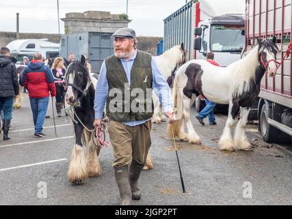 Cahirmee, Buttevant, Cork, Irland. 12.. Juli 2022. Luke Connors aus Kilcormac, Co. Offaly geht mit seinem Pony auf einem der ältesten Pferdehöfe Irlands in Cahirmee, Buttevant, Co. Cork, Irland, durch die Straße. - Credit; David Creedon / Alamy Live News Stockfoto