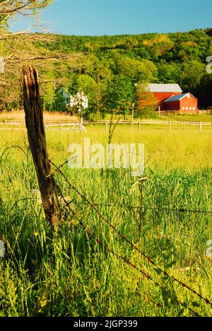 Ein Stachelzaunzaun, der an einem verfallenden Holzpfosten befestigt ist, schützt eine Familienfarm in einer abgelegenen ländlichen Gegend im Hudson Valley