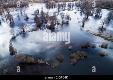 Überflutete Landschaft während der sogenannten fünften Saison im Soomaa-Nationalpark, Estland Stockfoto