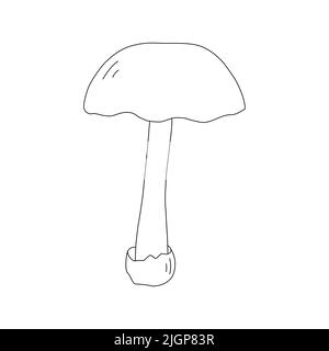 Mushroom Line Art Logo verschiedene Pilze handgezeichnete Skizze. Stock Vektor