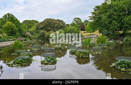 Brighton UK 12. July 2022 - Vogelgrippe wurde in Queens Park, Brighton gefunden, wo der stadtrat Schilder angebracht hat, die Menschen davor warnen, kranke Vögel zu behandeln : Credit Simon Dack / Alamy Live News Stockfoto