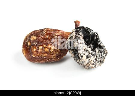 Trocken verfaulte Pflaume und gezuckerte Feige isoliert auf weißem Hintergrund. Alte schimmelige Früchte aus der Nähe Stockfoto