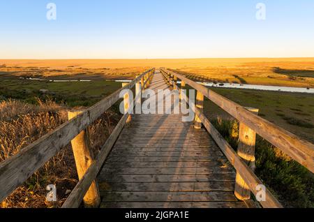 Holzbrücke über die Flottenlagune, die an einem sonnigen Morgen mit klarem, blauem Himmel zum Kies- und Kiesstrand von der jurassic Coast führt. Stockfoto
