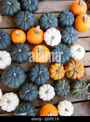 Hintergrund von mehrfarbigen Mini-Kürbissen auf einer Holzpalette aus der Ansicht von oben. Stockfoto