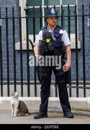 London, Großbritannien. 12.. Juli 2022. Larry, die Katze, schaut zu einem Polizisten in der Downing Street. Kredit: Karl Black/Alamy Live Nachrichten Stockfoto