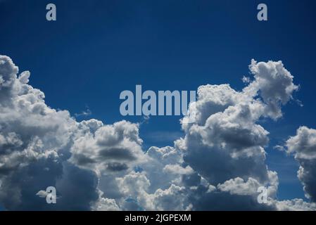 Wunderschöner blauer Himmel, der an einem schönen Sommertag in Nord-Zentral-Florida mit geschwollenen weißen Wolken bevölkert ist. Stockfoto