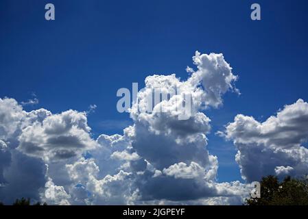 Wunderschöner blauer Himmel, der an einem schönen Sommertag in Nord-Zentral-Florida mit geschwollenen weißen Wolken bevölkert ist. Stockfoto