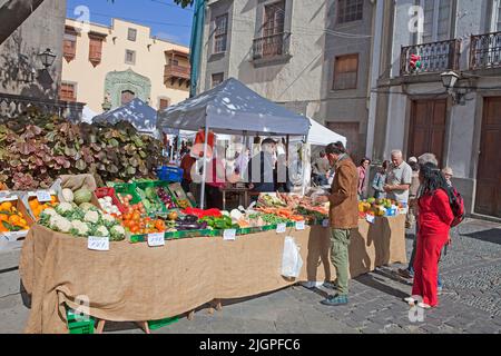 Markt hinter der Kathedrale Santa Ana, Plaza del Pilar Nuevo, Altstadt, Vegueta, Las Palmas, Grand Canary, Kanarische Inseln, Spanien, Europa Stockfoto