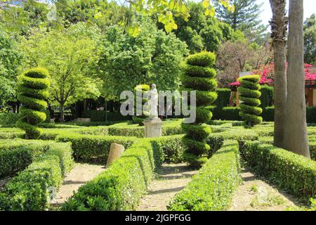 Gassen des Königlichen Parks von Valencia Stockfoto