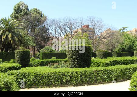 Gassen des Königlichen Parks von Valencia Stockfoto