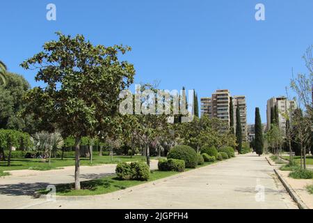 Gassen des Königlichen Parks von Valencia Stockfoto
