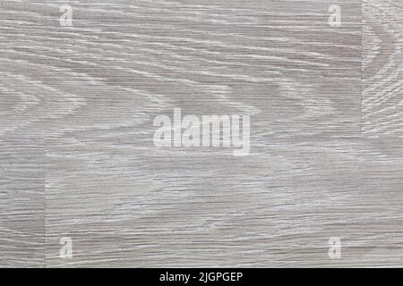 Grau Holz strukturiert Design Hintergrund. Einfacher weißer Hintergrund mit glatten Linien in hellen Farben. Eiche im Abschnitt. Schöne Tapete in Licht Stockfoto