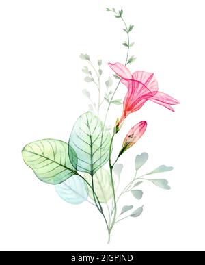 Aquarell transparente Hibiskusblüte, Eukalyptuszweige. Buntes tropisches Bouquet auf Weiß isoliert. Botanical abstrakt florale Illustration für Stockfoto