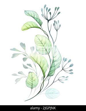 Aquarell Eukalyptus Zusammensetzung. Blätter und Äste in einem Strauß.Handgezeichnete botanische Illustration. Abstraktes transparentes florales Designelement Stockfoto