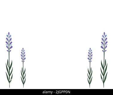 Lavendel Blätter und Blumen Vektor Illustration Hintergrund. Illustration für Grußkarten, Einladungen. Stock Vektor