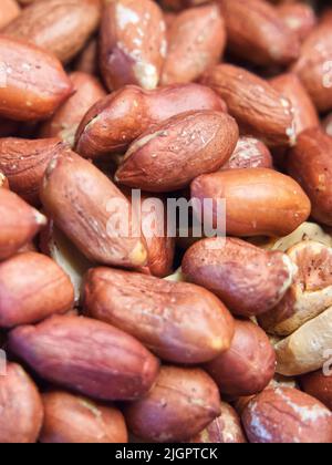 Geröstete, ungeschälte Erdnüsse, Makro, Erdnüsse als Hintergrund. Viele geschälte Erdnüsse. Vollformat mit Erdnüssen. Selektiver Fokus. Stockfoto