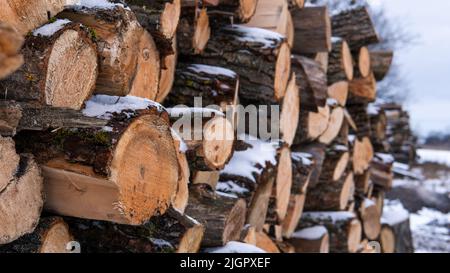 Seitenansicht von gestapelten Holzstämmen, die mit Schnee bedeckt sind. In mehreren Reihen ausgebautes Brennholz. Natürlicher Hintergrund aus Holz. Standort des Sägewerks im Winter. Stockfoto