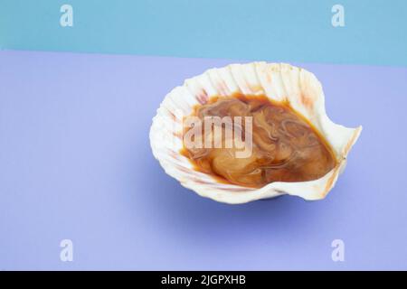 Kaffee und Milch in einer Meeresmuschel, isoliert auf blauem Hintergrund. Stockfoto