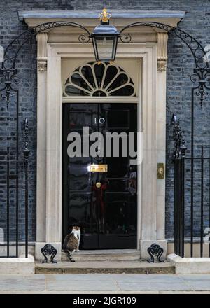 London, Großbritannien. 12.. Juli 2022. Larry the Cat, Chief mouser und Resident Feline in der Downing Street 10, rollt faul herum und schnüffelt auf dem Bürgersteig vor der Downing Street 10 bei heißen Temperaturen über 30 Grad in Westminster, wobei er gelegentlich seine eigene Spiegelung in der legendären schwarzen Tür sieht. Trotz der anhaltenden politischen Krise und des Führungswettbewerbs scheint die berühmte Katze die Aufmerksamkeit der Medien auf sich zu ziehen. Kredit: Imageplotter/Alamy Live Nachrichten Stockfoto