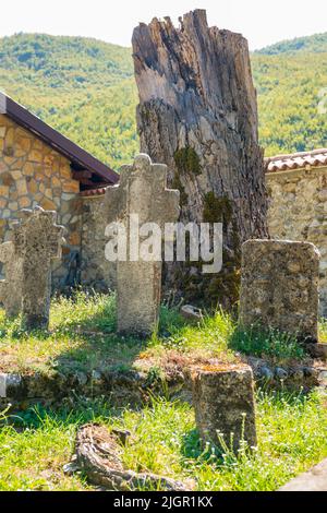 Alte Grabsteine am Fuße eines alten, zerbrochenen Baumstamms im mittelalterlichen serbisch-orthodoxen Kloster „Patriarchat von Peć“ im Kosovo. Stockfoto