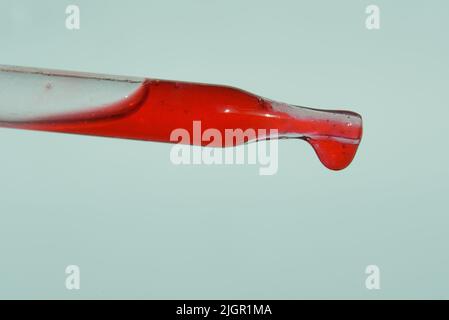 Ein Tropfen Blut tropft aus der Pipette. Blut zur Injektion Plasmolifting, Plasmatherapie. Kosmetisches Verfahren für die Gesichtshaut mit Blut. Das Konzept der Hautpflege. Hochwertige Fotos Stockfoto