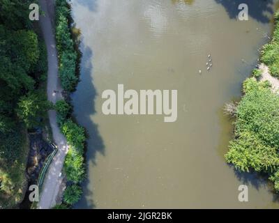 Abwärtsschuss des Sees mit Fischen und Enten im Barclay Park Stockfoto