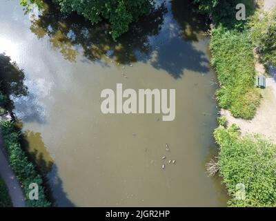 Abwärtsschuss des Sees mit Fischen und Enten im Barclay Park Stockfoto
