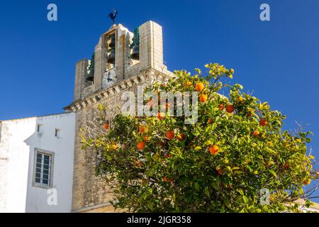 Orangenbaum an der Kathedrale Santa Maria (Sé de Faro), Glockenturm die Kathedrale von Faro ist Ein Nationaldenkmal Portugals, die Kathedrale von Faro Stockfoto