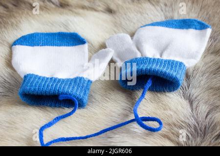 Fäustling weiß und blau für das Baby auf der Haut eines Hirsches Stockfoto