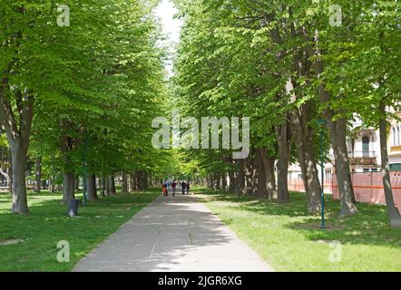 VENEDIG, ITALIEN - 21. APRIL 2019 Wege und Bäume im Giardini della Biennale Park Stockfoto