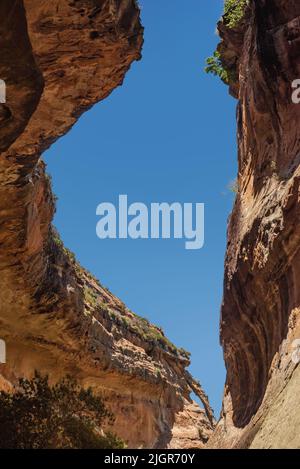 Blick auf ein Fenster mit blauem Himmel zwischen überhängenden Felswänden auf der Echo Ravine Wanderung im Golden Gate Highlands National Park in der Nähe von Clarens, South Stockfoto