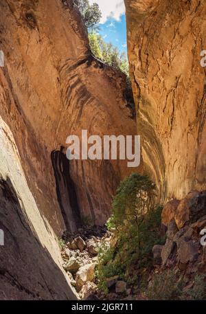 Blick auf die schmalen Felsspalte auf der Echo Ravine Wanderung im Golden Gate Highlands National Park in der Nähe von Clarens, Südafrika Stockfoto